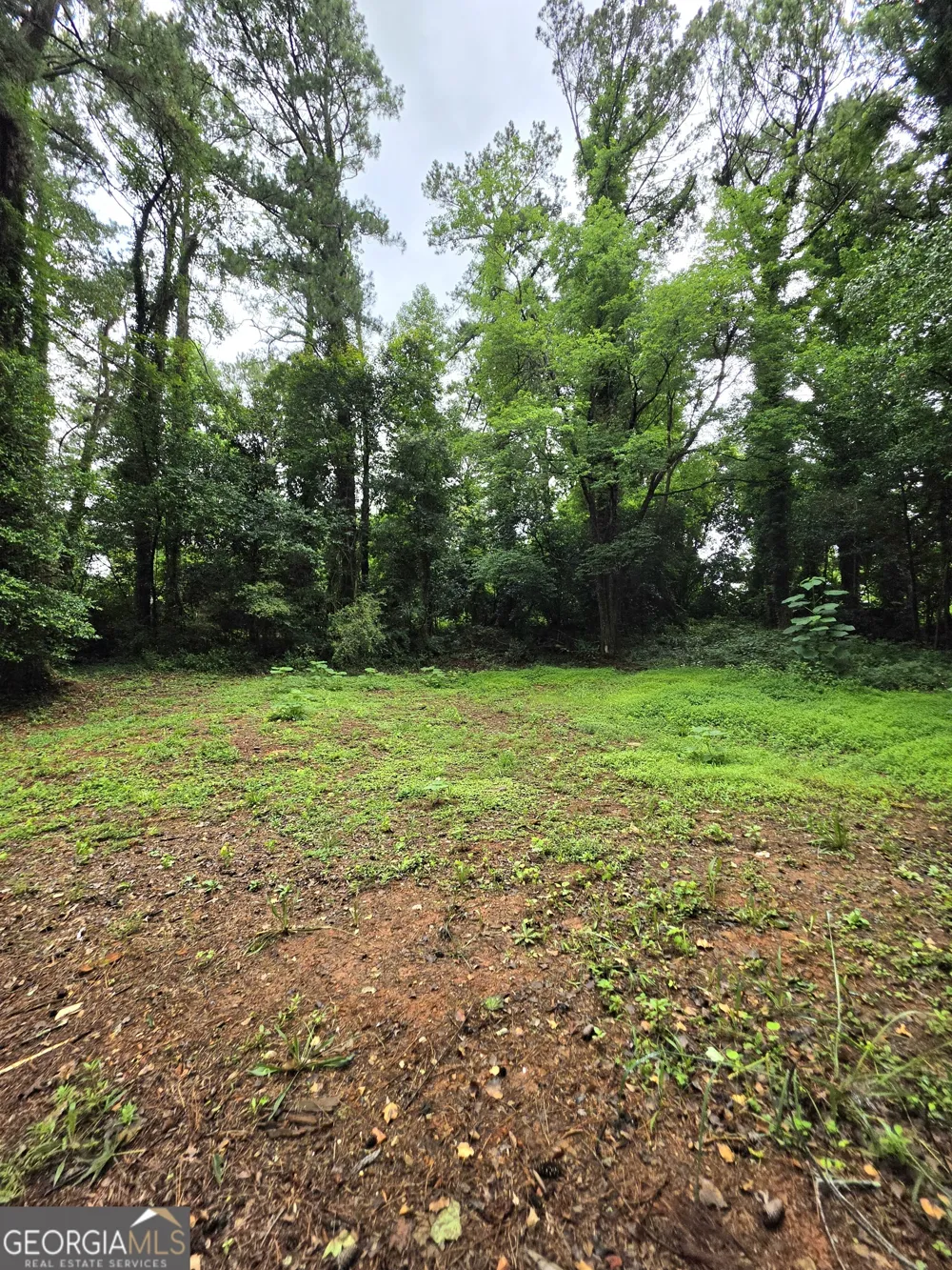 618 Simone WAY Stone Mountain, GA 30087