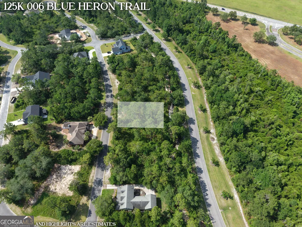 LOT 6 Blue Heron TRL Waverly, GA 31565