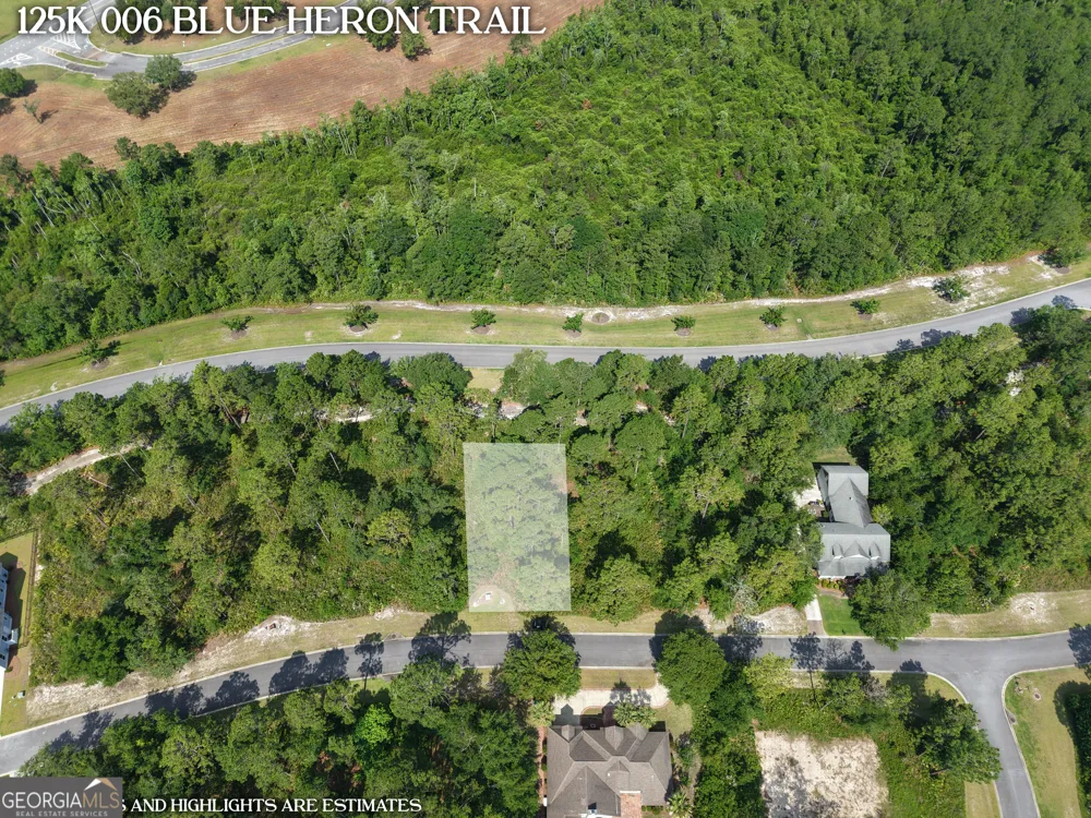 LOT 6 Blue Heron TRL Waverly, GA 31565
