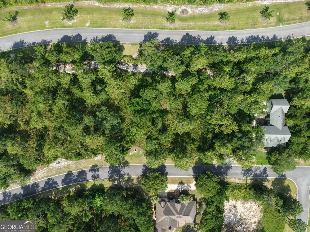 LOT 6 Blue Heron TRL Waverly, GA 31565
