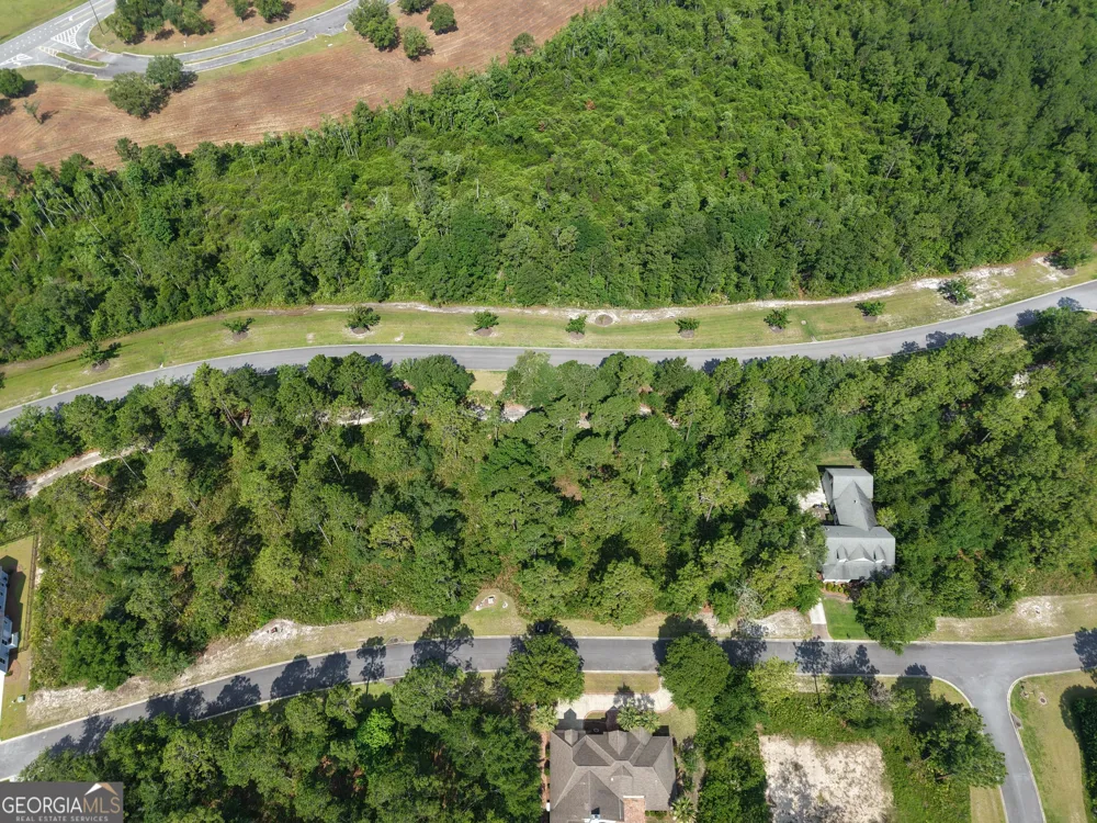 LOT 6 Blue Heron TRL Waverly, GA 31565