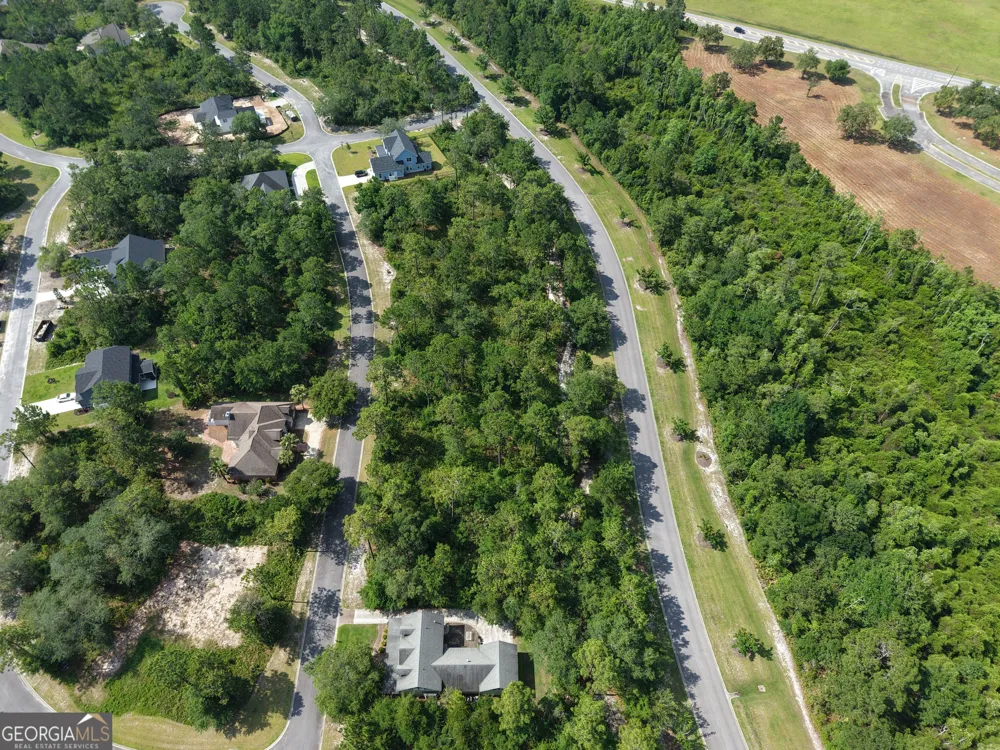 LOT 6 Blue Heron TRL Waverly, GA 31565