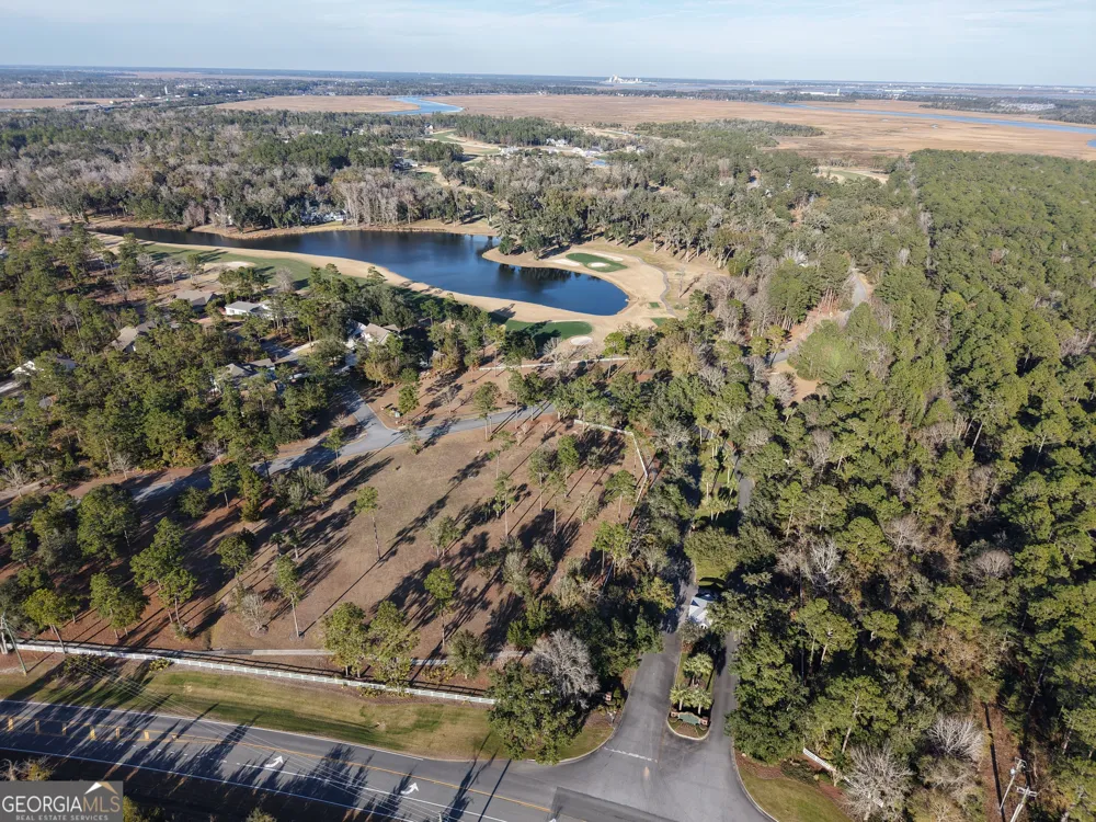 LOT 6 Blue Heron TRL Waverly, GA 31565