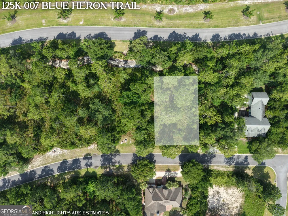 LOT 7 Blue Heron TRL Waverly, GA 31565