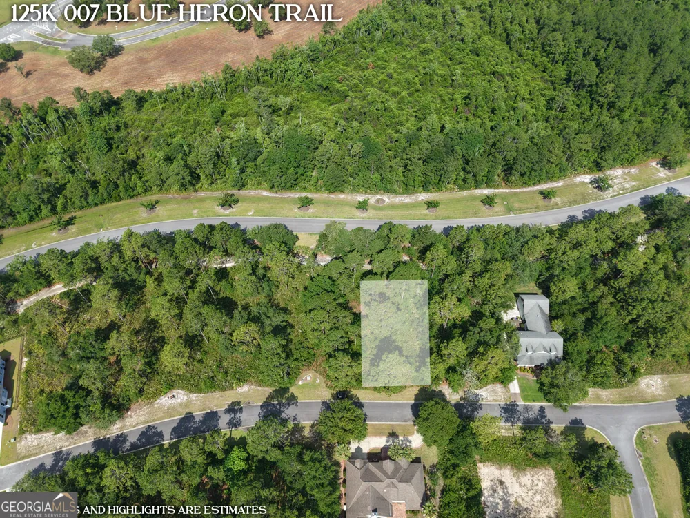 LOT 7 Blue Heron TRL Waverly, GA 31565