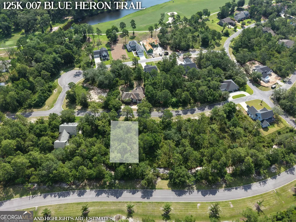LOT 7 Blue Heron TRL Waverly, GA 31565