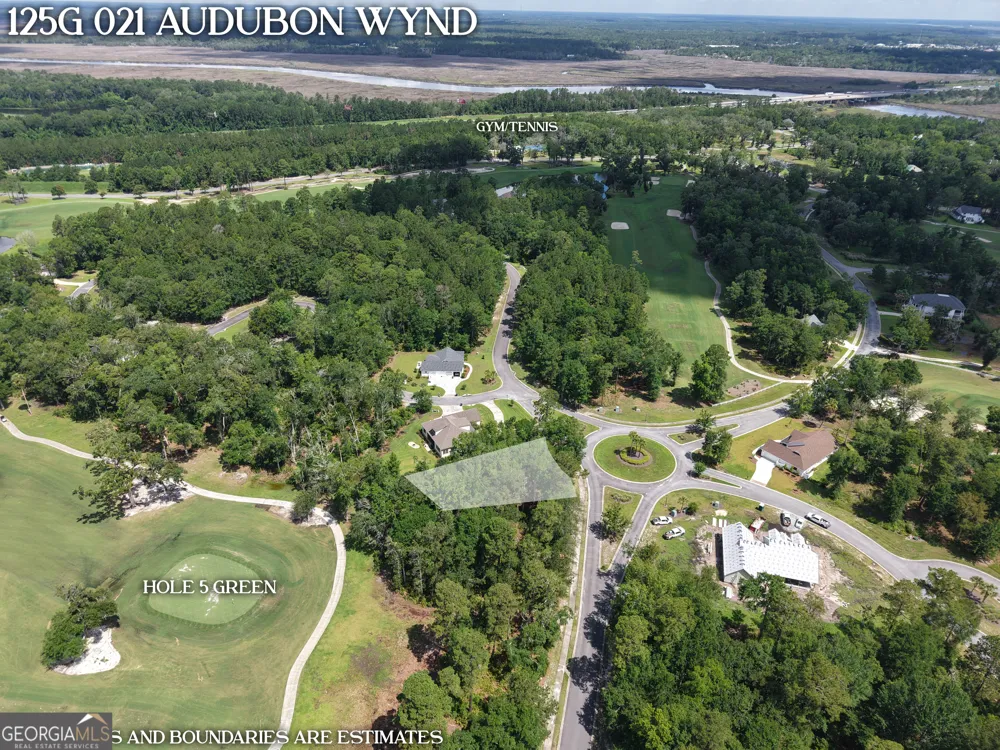 LOT 21 Audubon Wynd Waverly, GA 31565