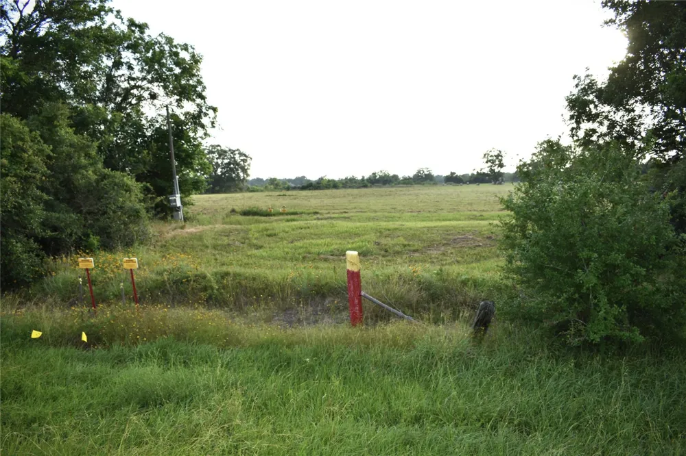 23210 Fm-521 Angleton, TX 77515