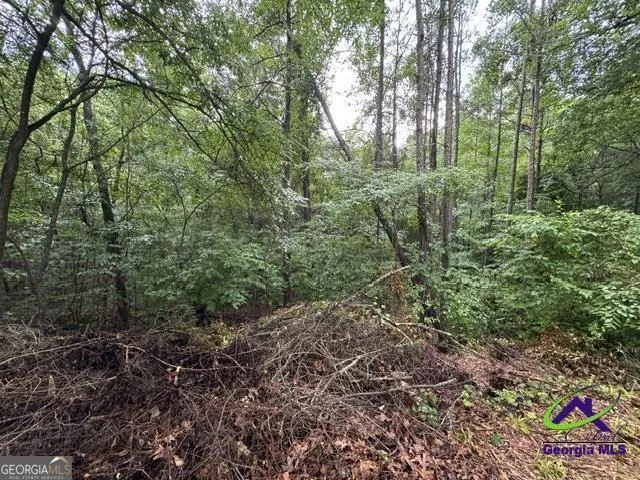 172 Waters PTE Lizella, GA 31052