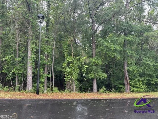 176 Waters PTE Lizella, GA 31052