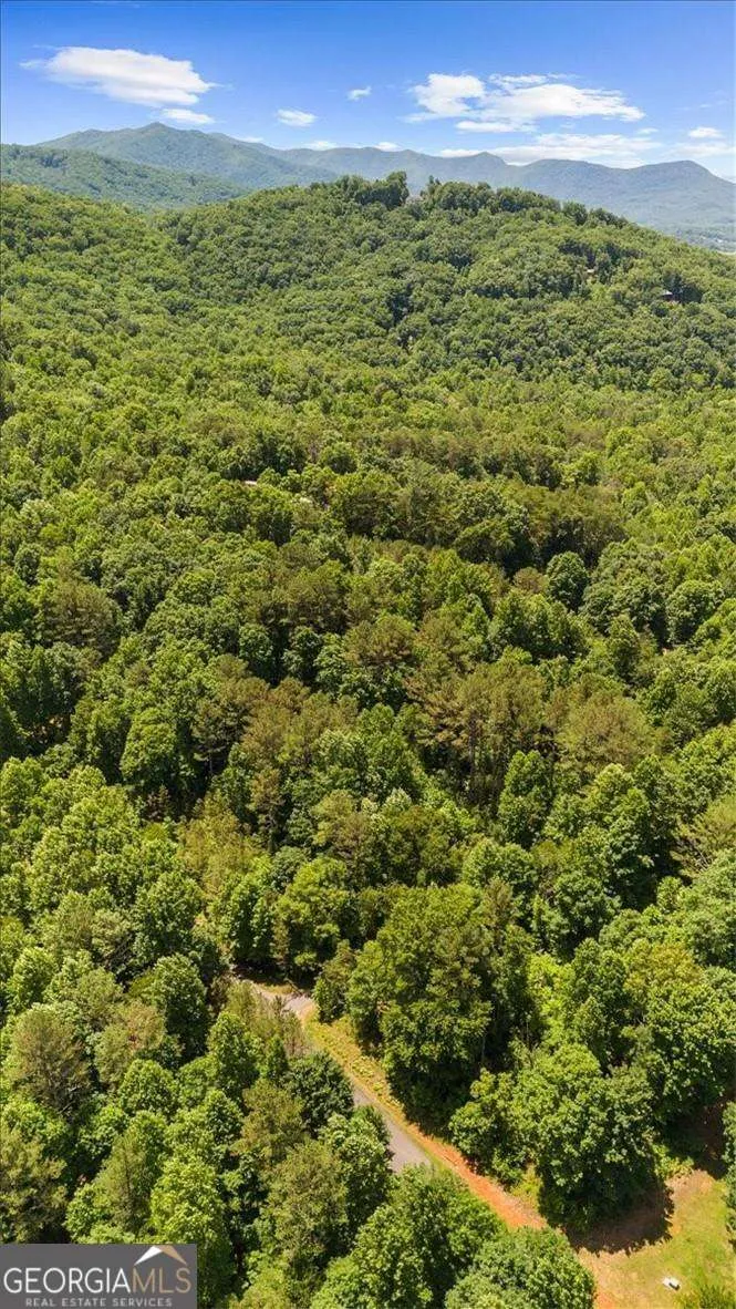 LOT 60 Meadow Brooke DR Young Harris, GA 30582