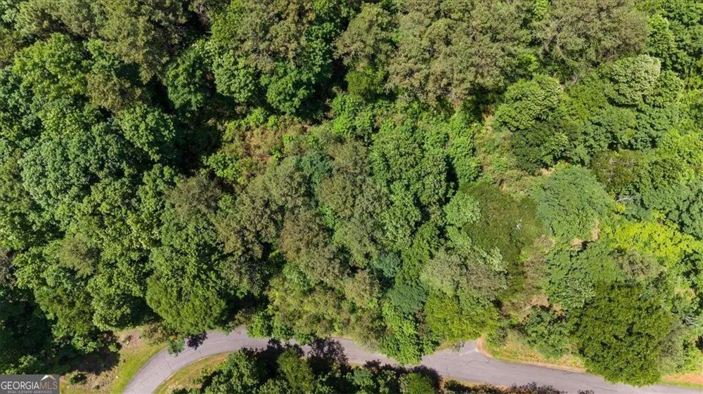 LOT 60 Meadow Brooke DR Young Harris, GA 30582