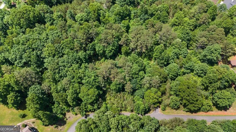 LOT 60 Meadow Brooke DR Young Harris, GA 30582