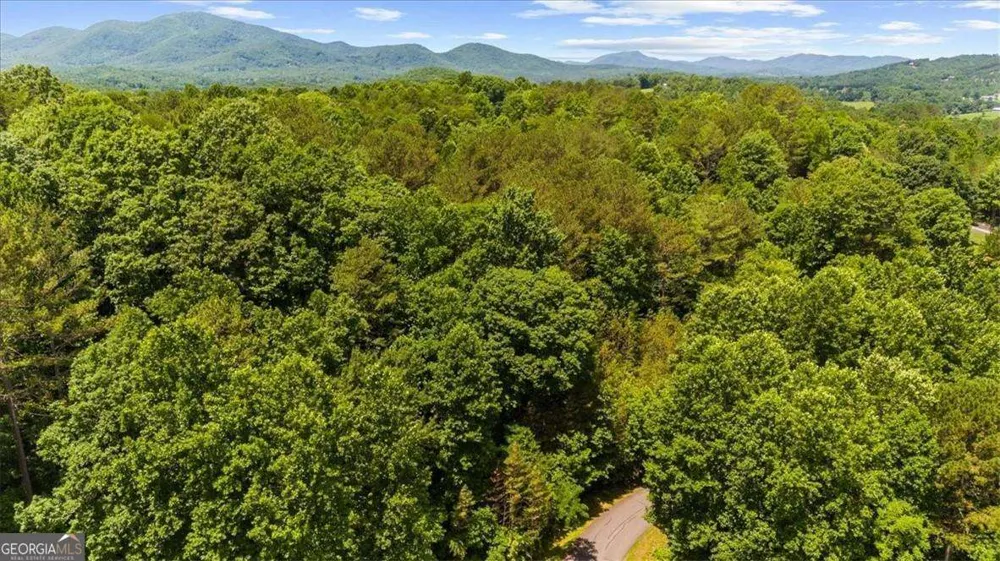 LOT 60 Meadow Brooke DR Young Harris, GA 30582