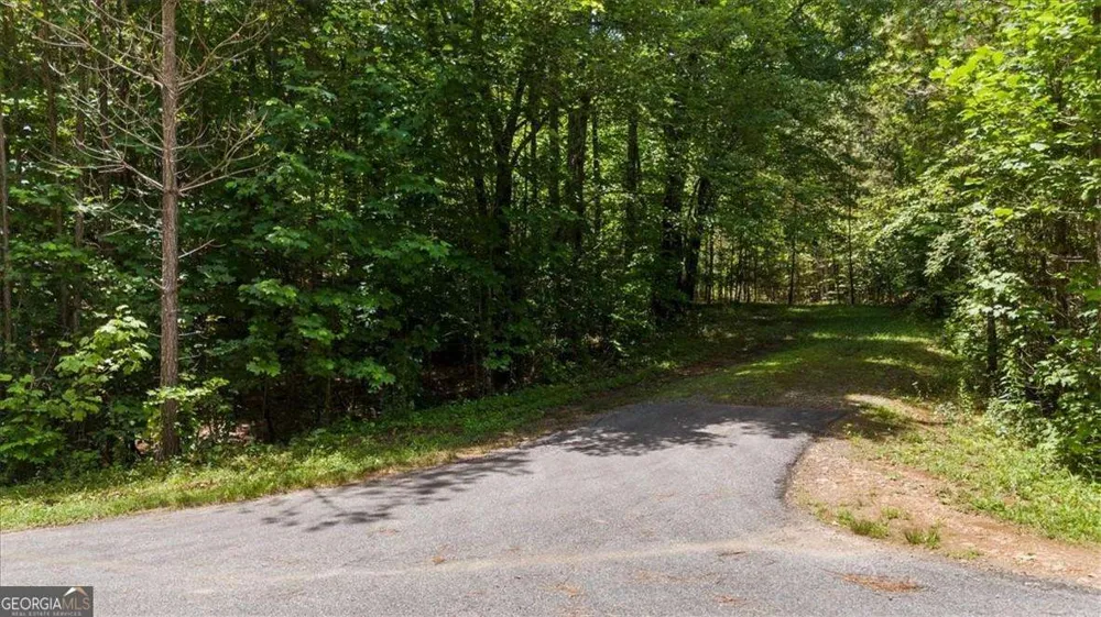 LOT 60 Meadow Brooke DR Young Harris, GA 30582