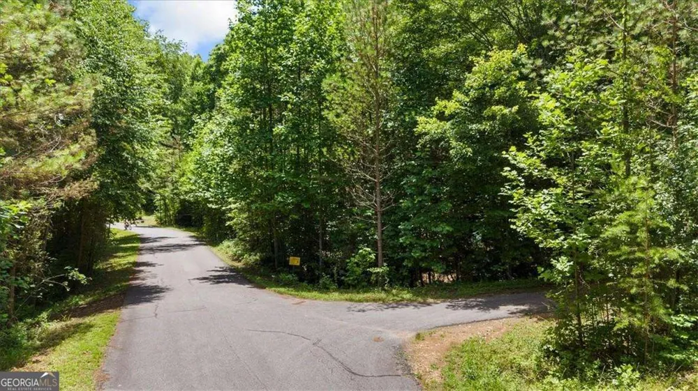 LOT 60 Meadow Brooke DR Young Harris, GA 30582