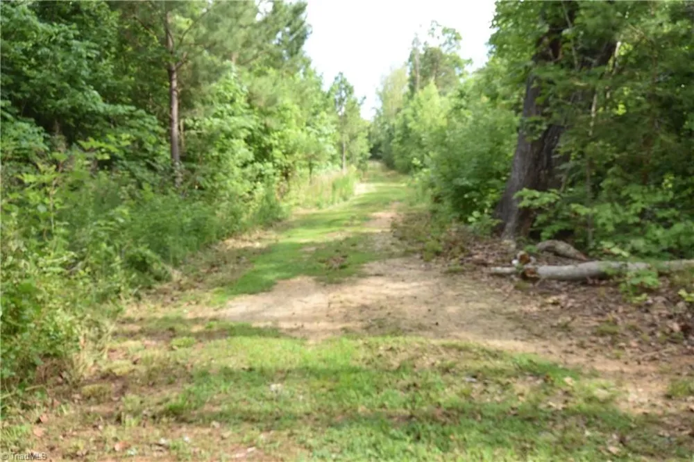 1034 Paschal Road Yanceyville, NC 27379