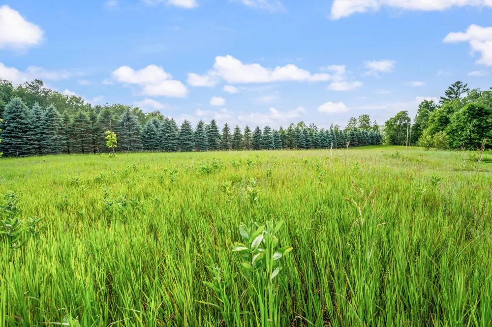 6299 W Falmouth Road Richland Township, MI 49657