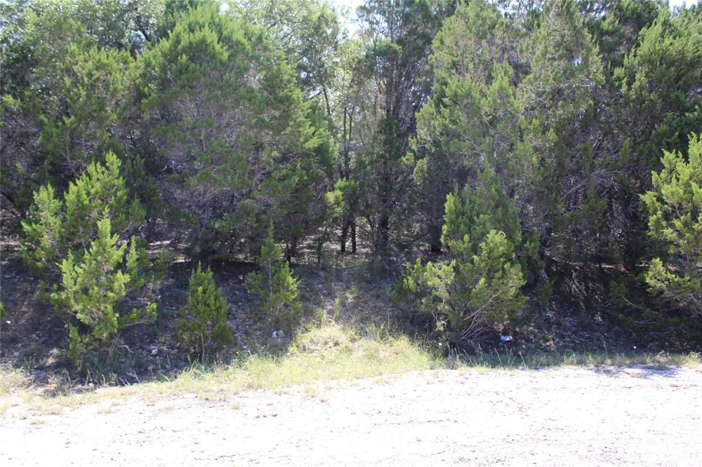 8205 Cedar Glen Cove Leander, TX 78645