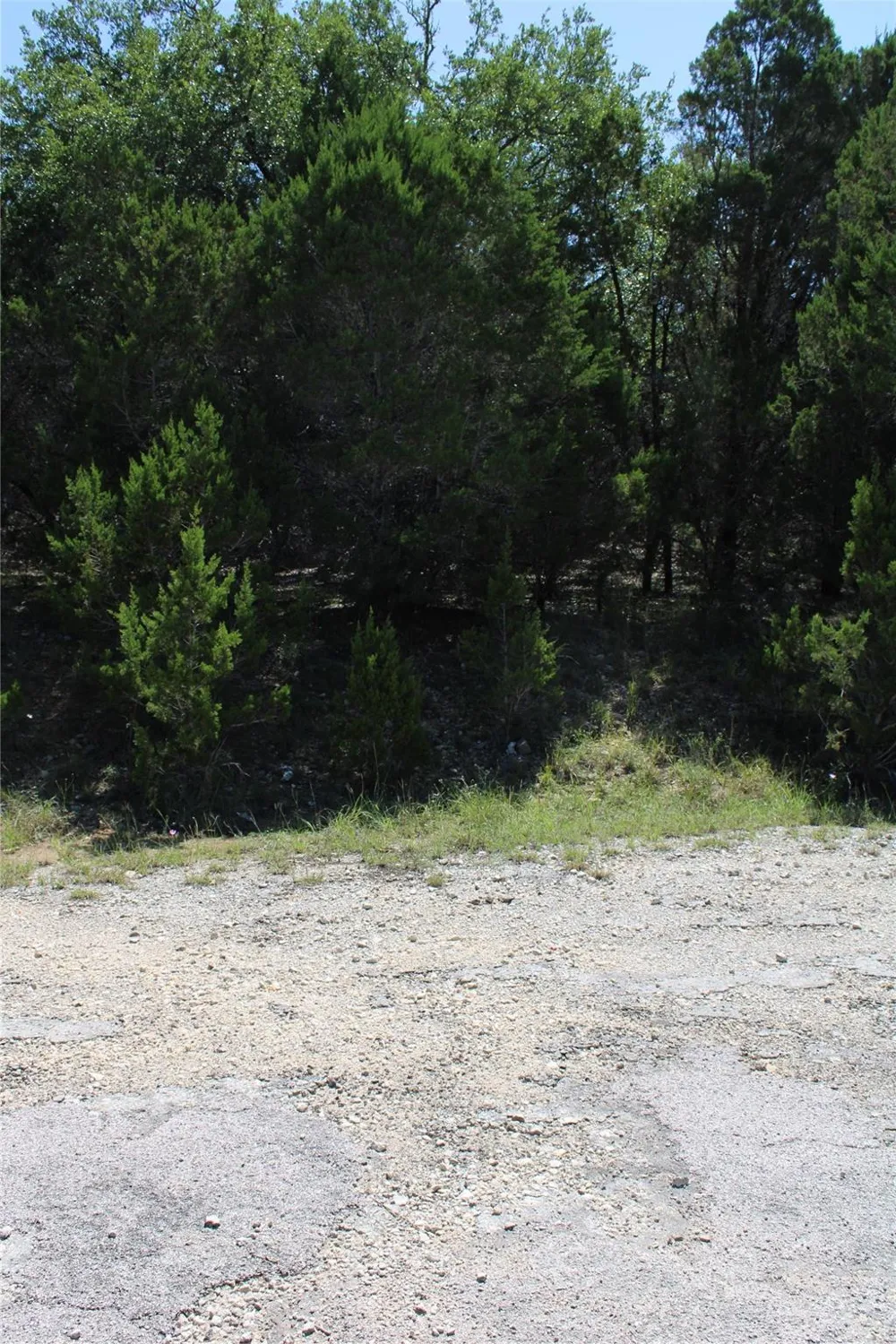 8205 Cedar Glen Cove Leander, TX 78645