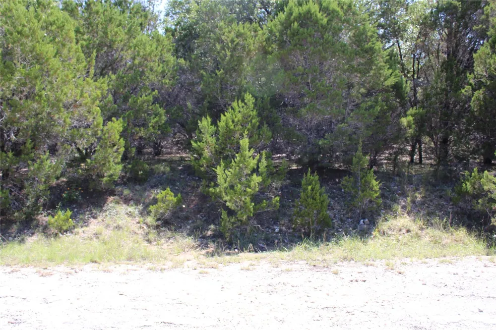 8205 Cedar Glen Cove Leander, TX 78645