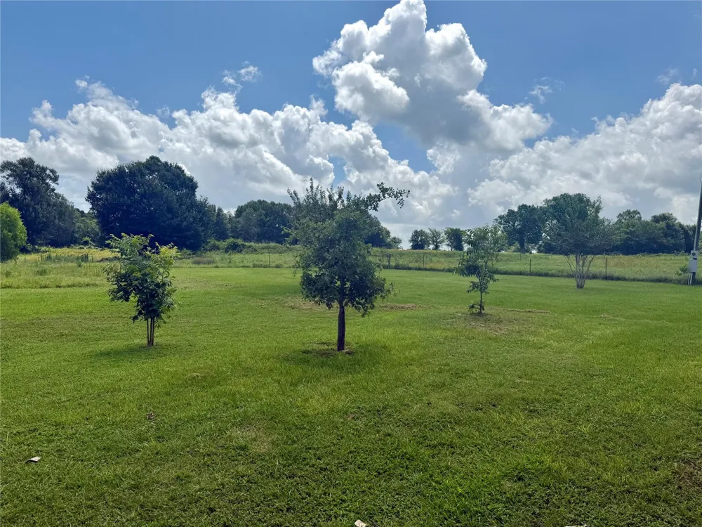 2433 County Road 409 Navasota, TX 77868