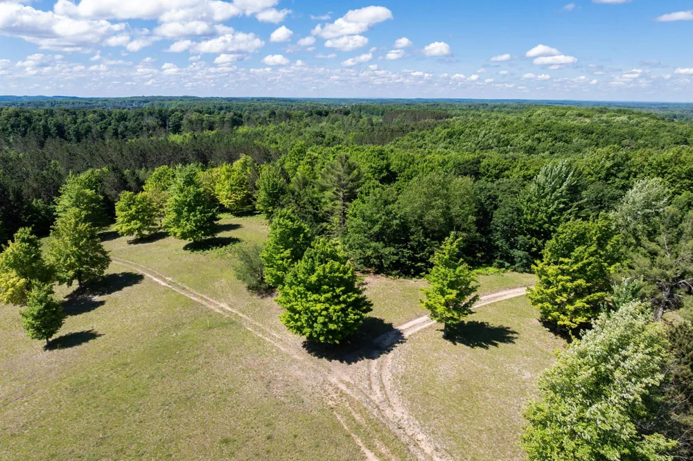 2324 Krumlauf Road Orange Township, MI 49646