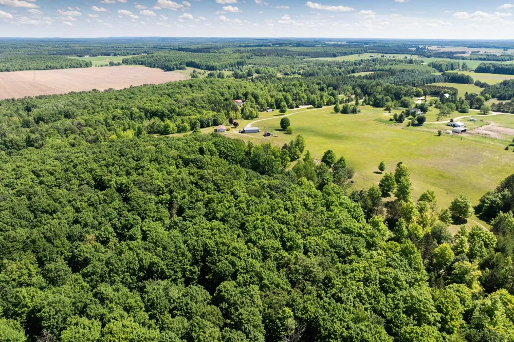 2324 Krumlauf Road Orange Township, MI 49646