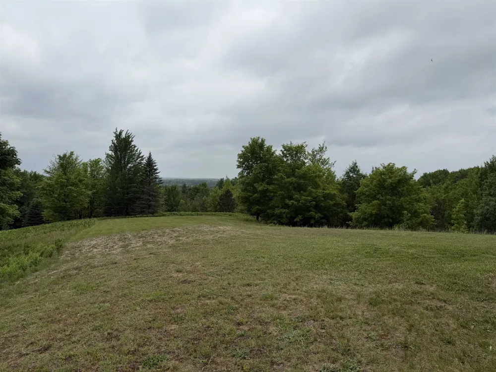 2324 Krumlauf Road Orange Township, MI 49646