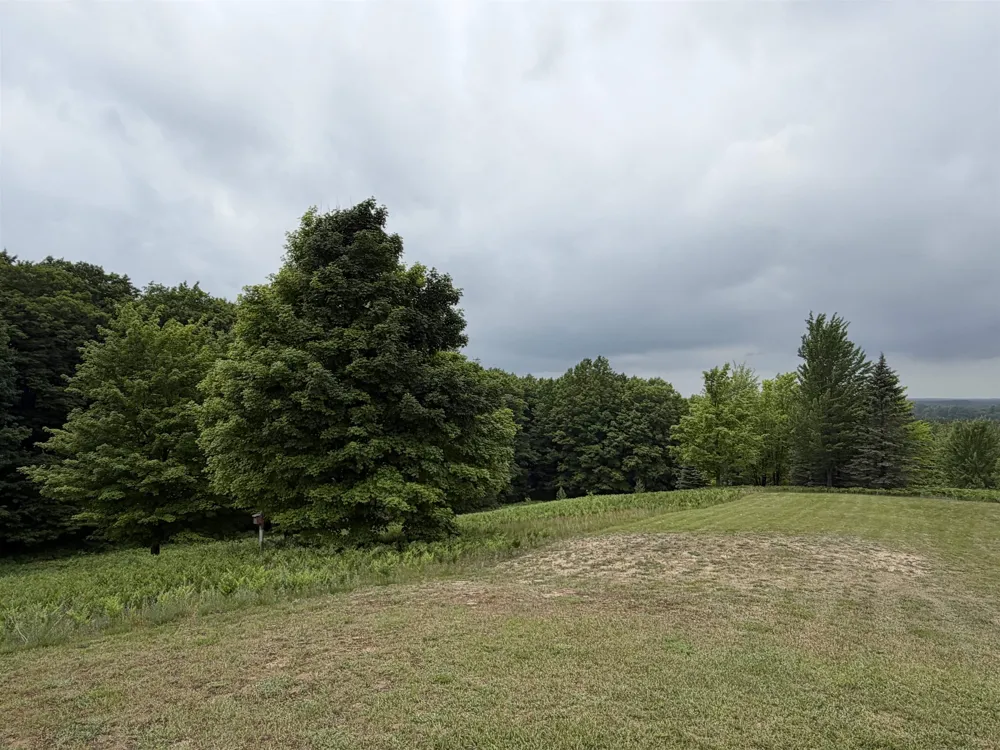 2324 Krumlauf Road Orange Township, MI 49646