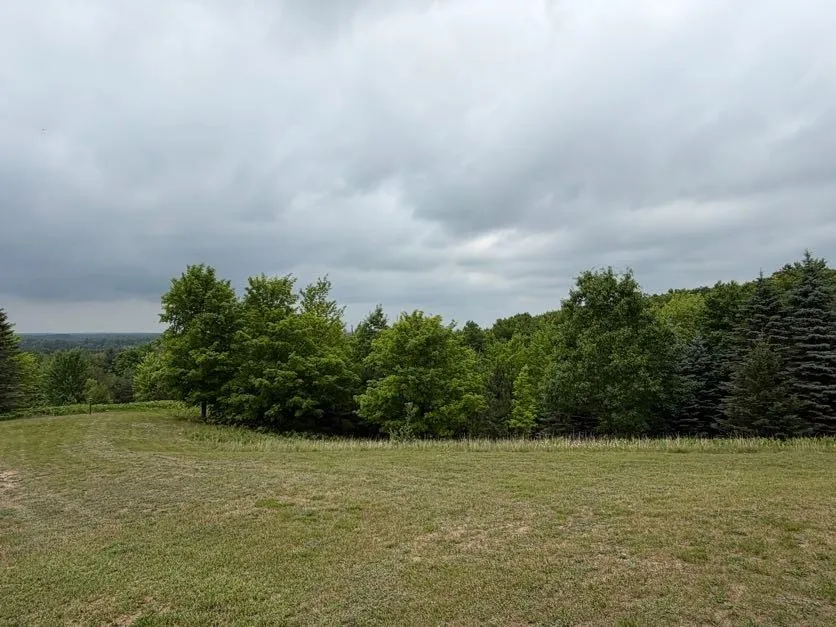 2324 Krumlauf Road Orange Township, MI 49646