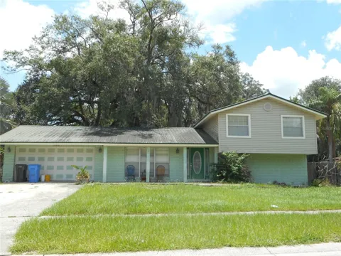 1203 LAKE VALRICO LANE