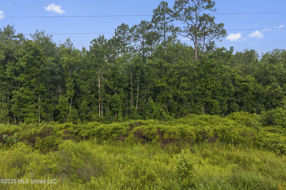 Spring Briar Trail Saucier, MS 39574