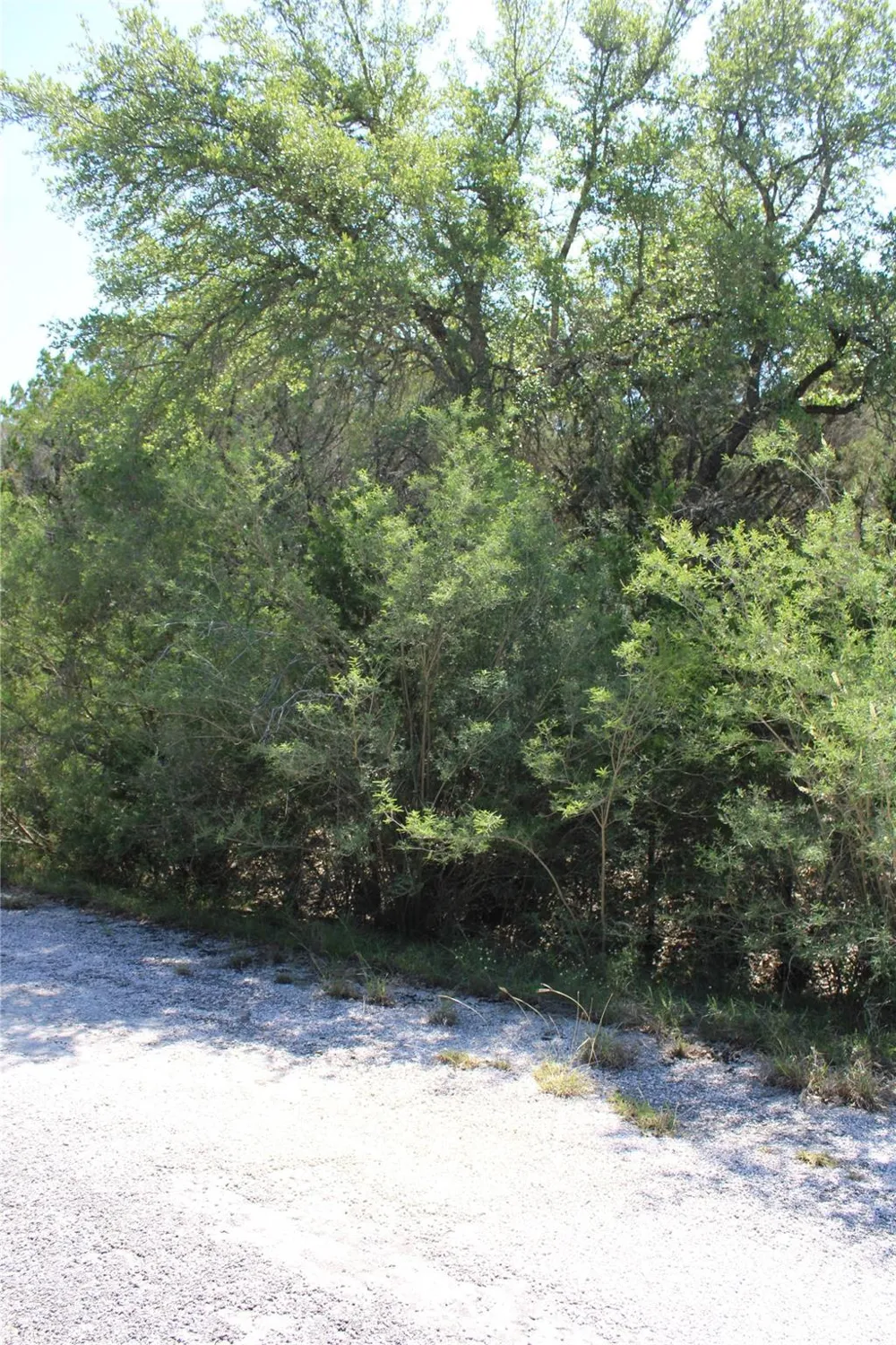 8207 Cedar Glen Cove Leander, TX 78645