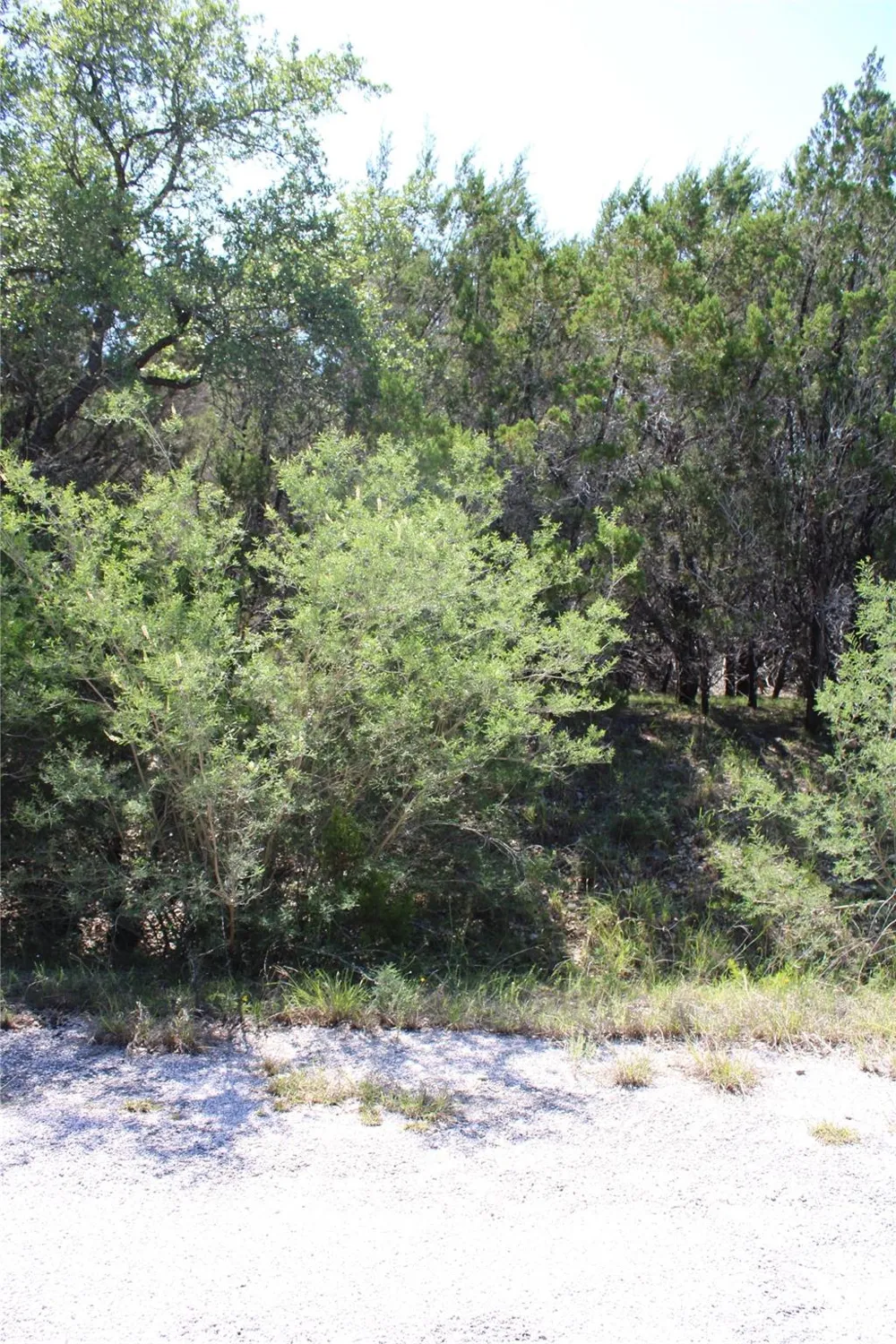 8207 Cedar Glen Cove Leander, TX 78645