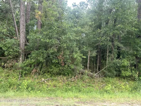 Tbd River Ridge Road