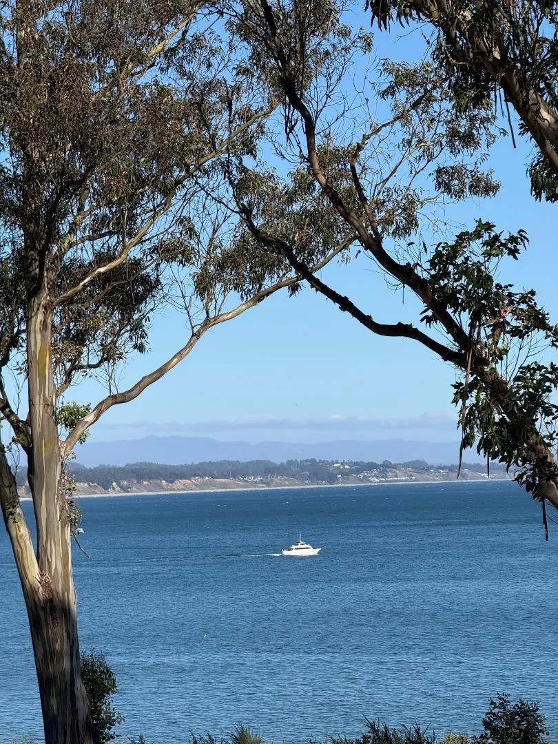825 Balboa Avenue #205 Capitola, CA 95010