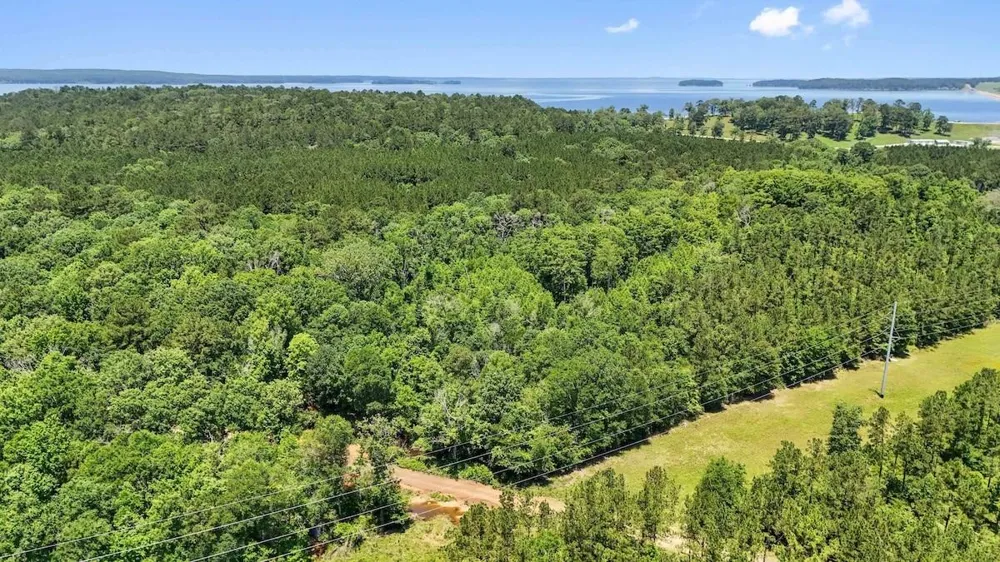 Hickman Road Burkeville, TX 75932