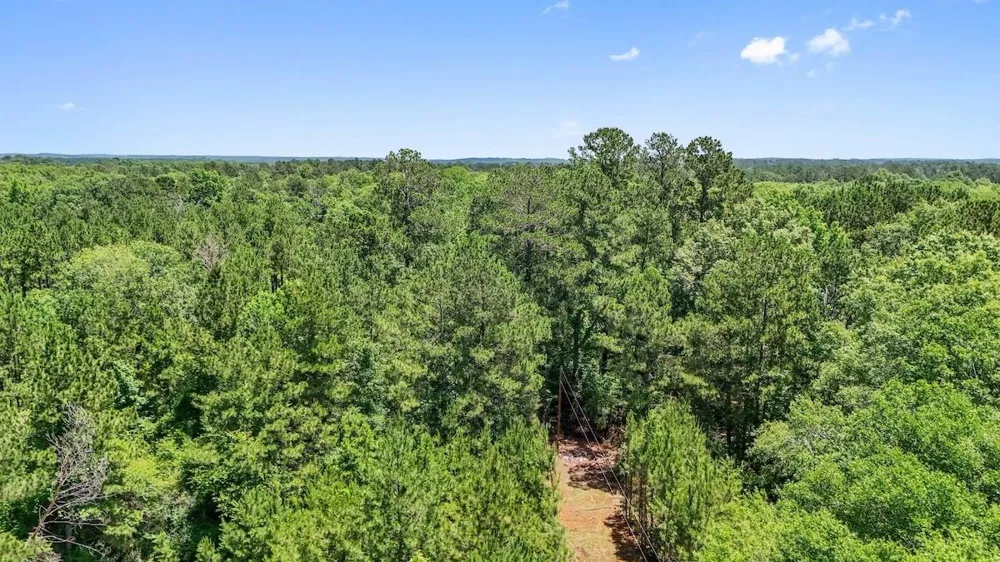 Hickman Road Burkeville, TX 75932