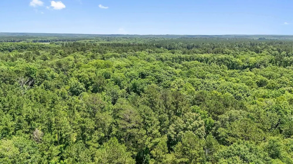 Hickman Road Burkeville, TX 75932