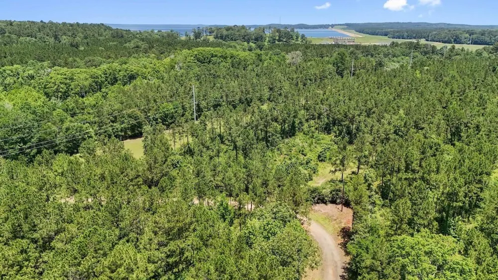 Hickman Road Burkeville, TX 75932