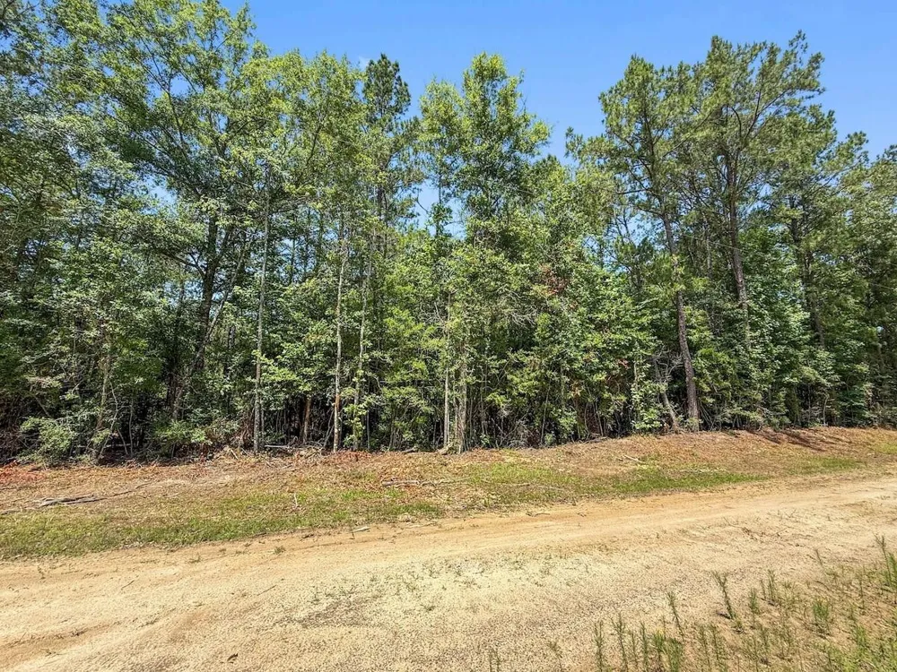 Hickman Road Burkeville, TX 75932