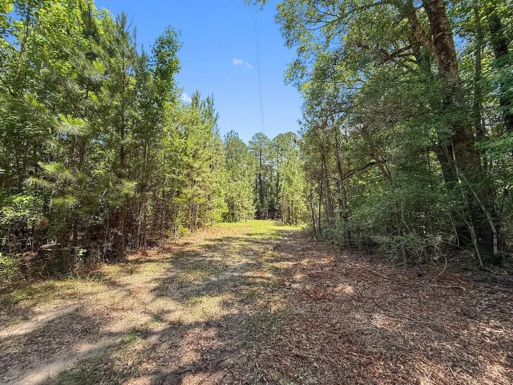 Hickman Road Burkeville, TX 75932