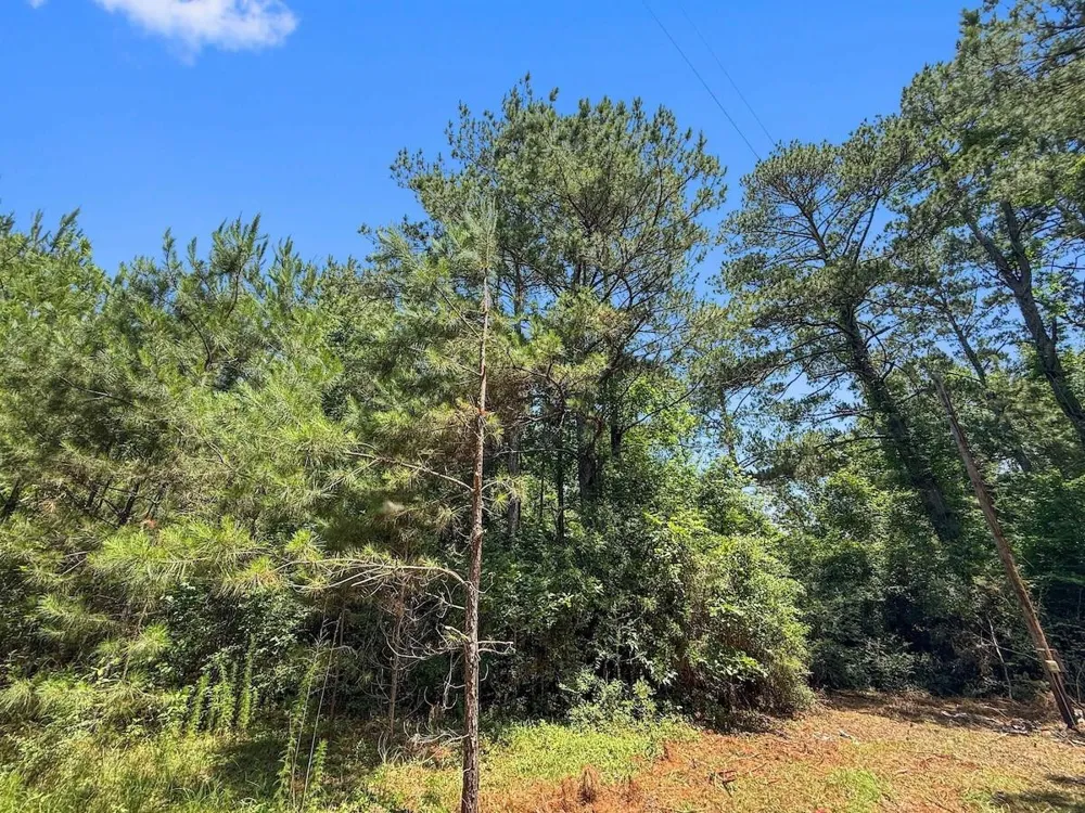 Hickman Road Burkeville, TX 75932