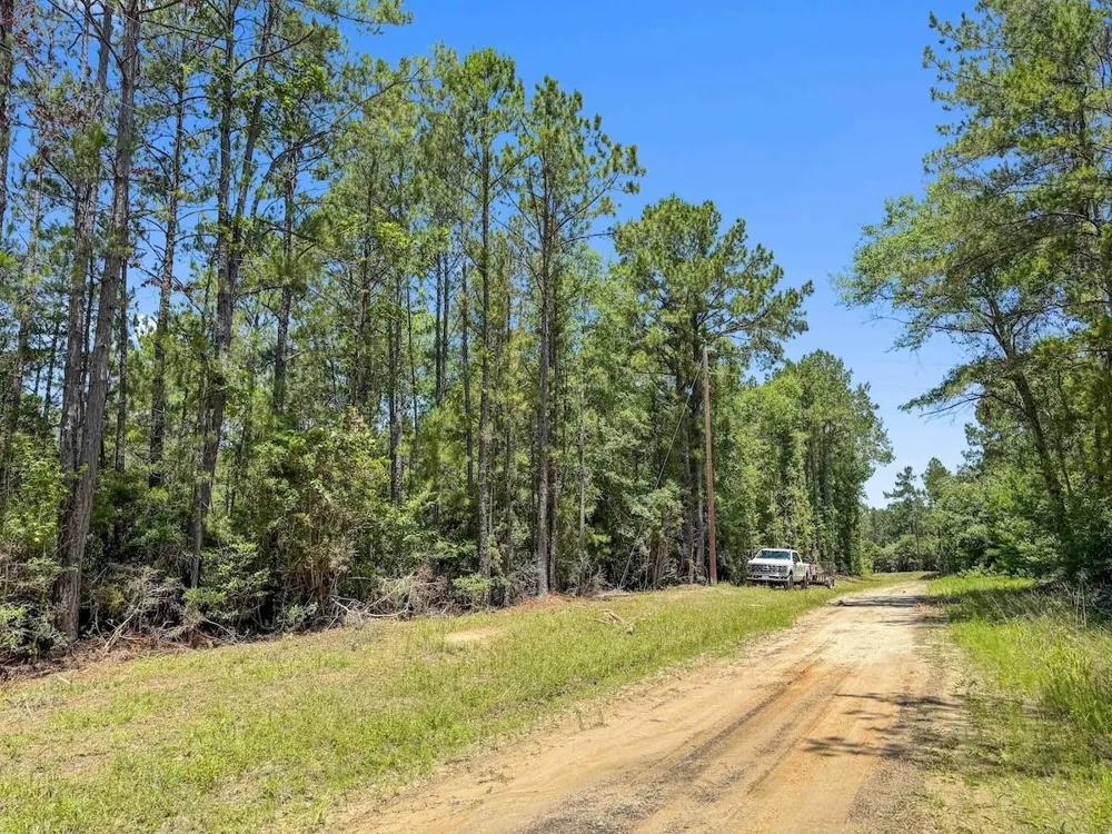 Hickman Road Burkeville, TX 75932