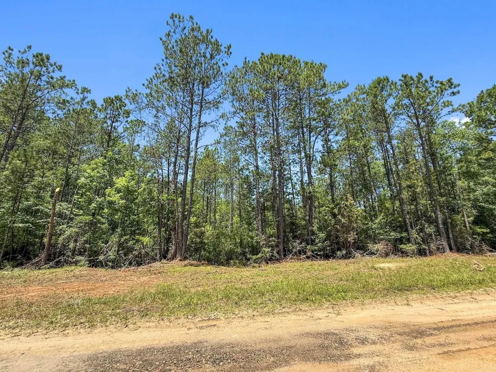Hickman Road Burkeville, TX 75932