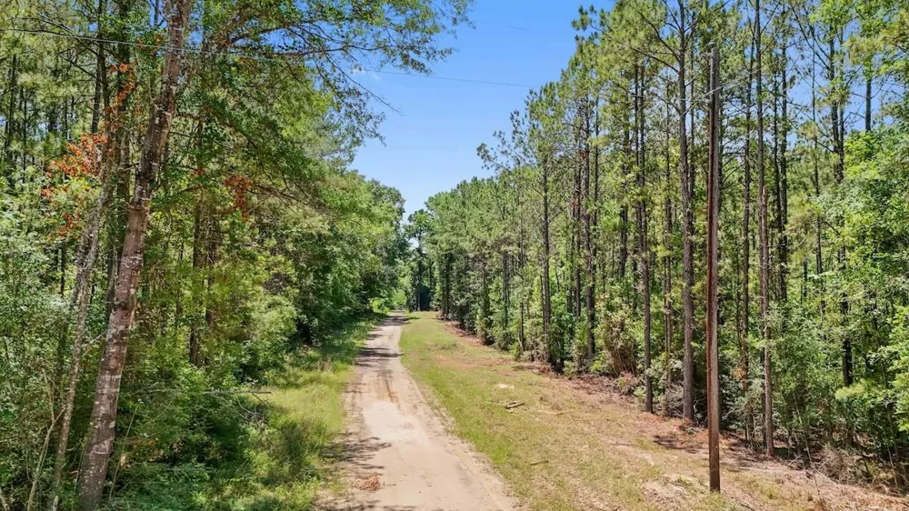 Hickman Road Burkeville, TX 75932