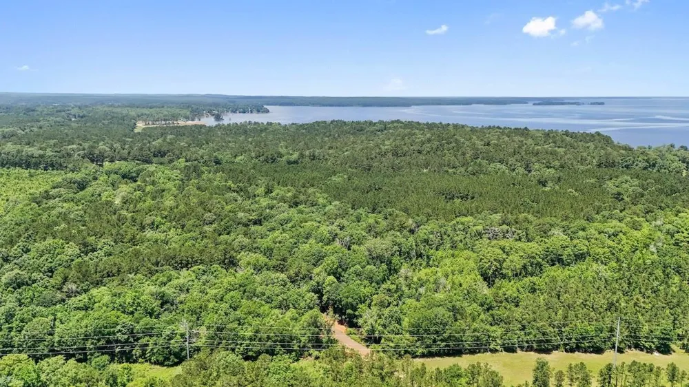 Hickman Road Burkeville, TX 75932