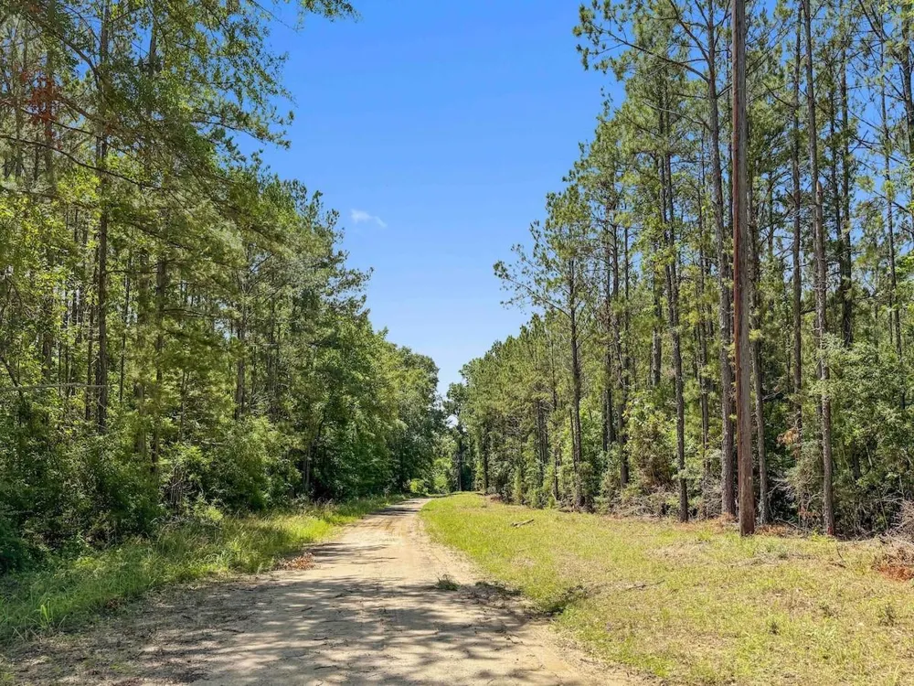 Hickman Road Burkeville, TX 75932