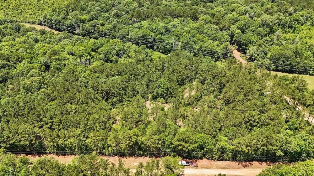Hickman Road Burkeville, TX 75932